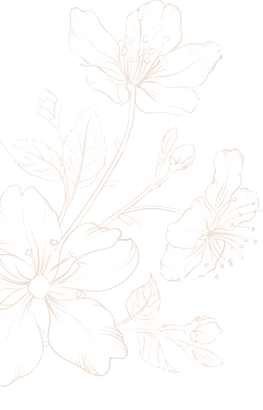 Anna premium bg 2