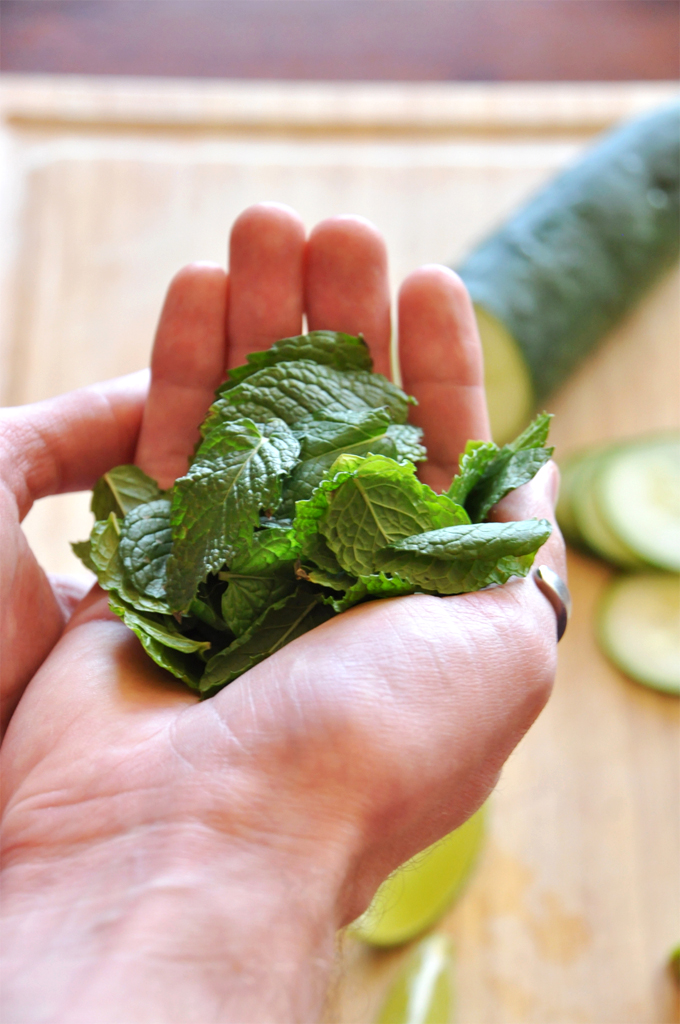 Fresh mint leaves and cucumber for making a refreshing summer cocktail recipe