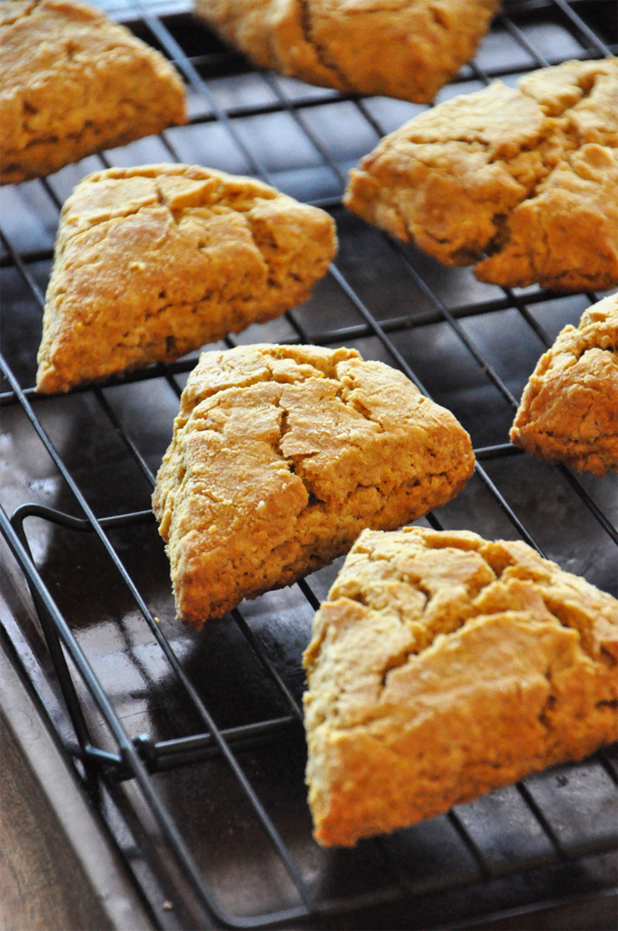 Homemade Pumpkin Scones cooling on a rack