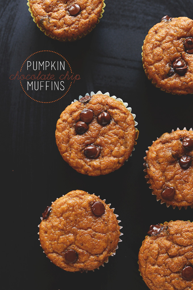 Freshly baked batch of vegan Pumpkin Chocolate Chip Muffins