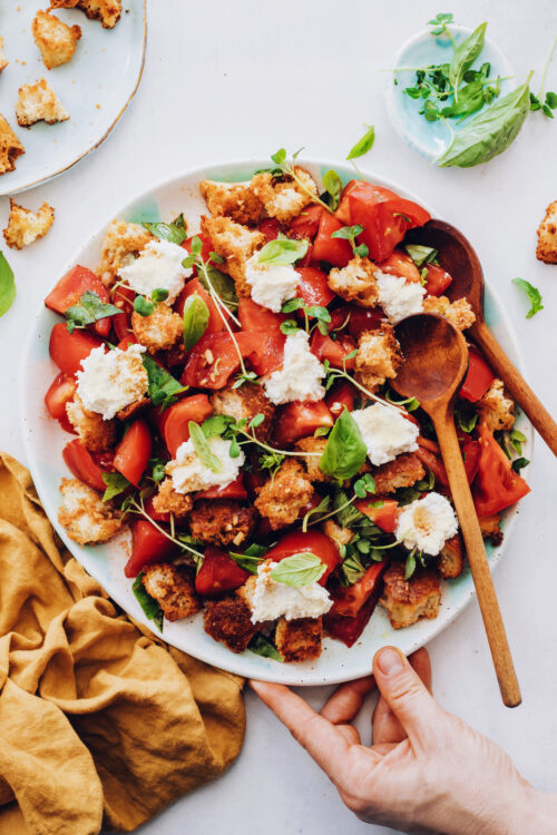 Platter of heirloom tomato panzanella salad