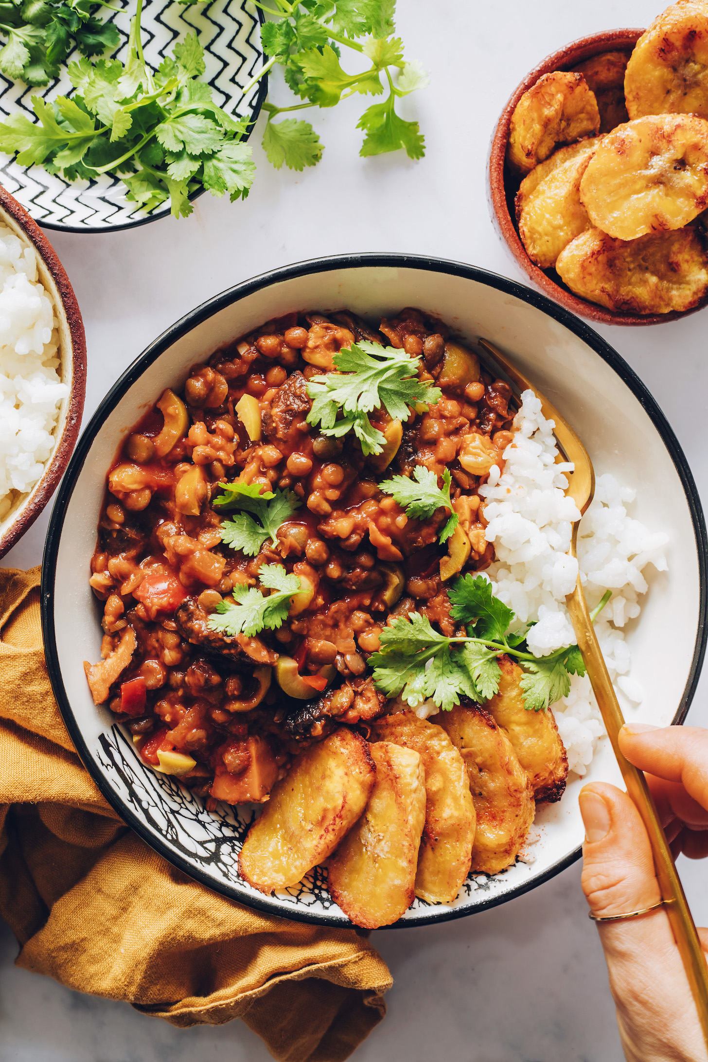 Holding a gold fork in a bowl of roasted plantains, white rice, and vegan picadillo